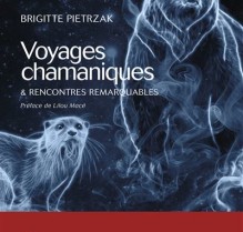 Voyages-chamaniques-rencontres-remarquables