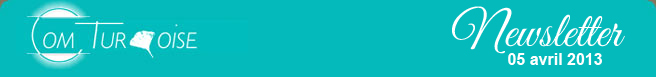 Newsletter Com Turquoise 2013
