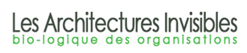 traversée des apparences