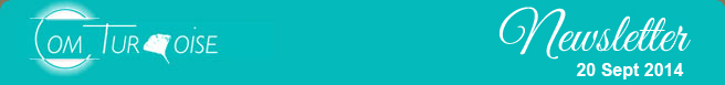 Newsletter Com Turquoise 2014